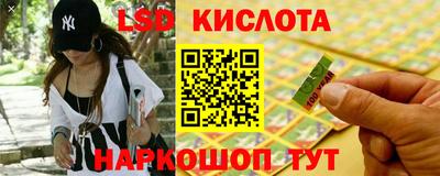 ешки Бердск