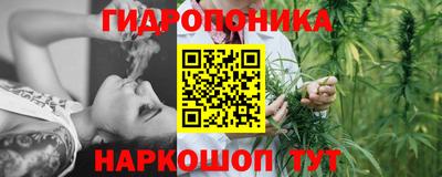 ешки Бердск