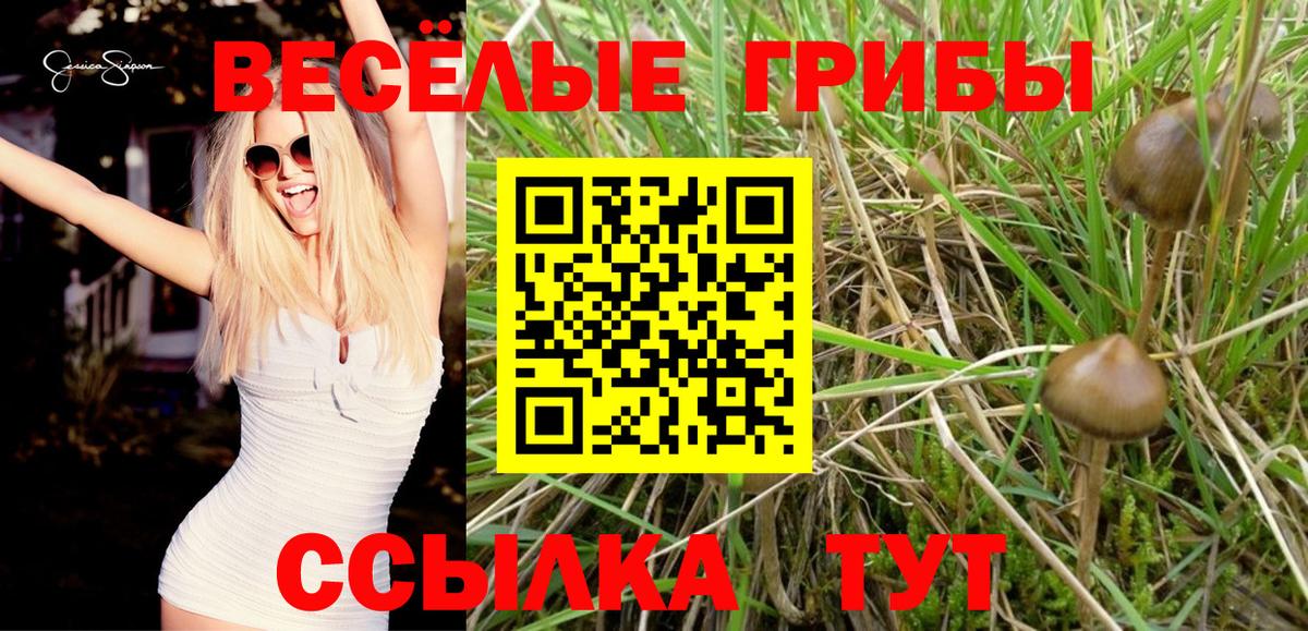 Иваново  Псилоцибиновые грибы MAGIC MUSHROOMS  даркнет сайт  Вход с VPN 